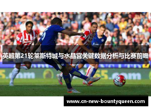 英超第21轮莱斯特城与水晶宫关键数据分析与比赛前瞻 英超第21轮莱斯特城与水晶宫关键数据分析与比赛前瞻